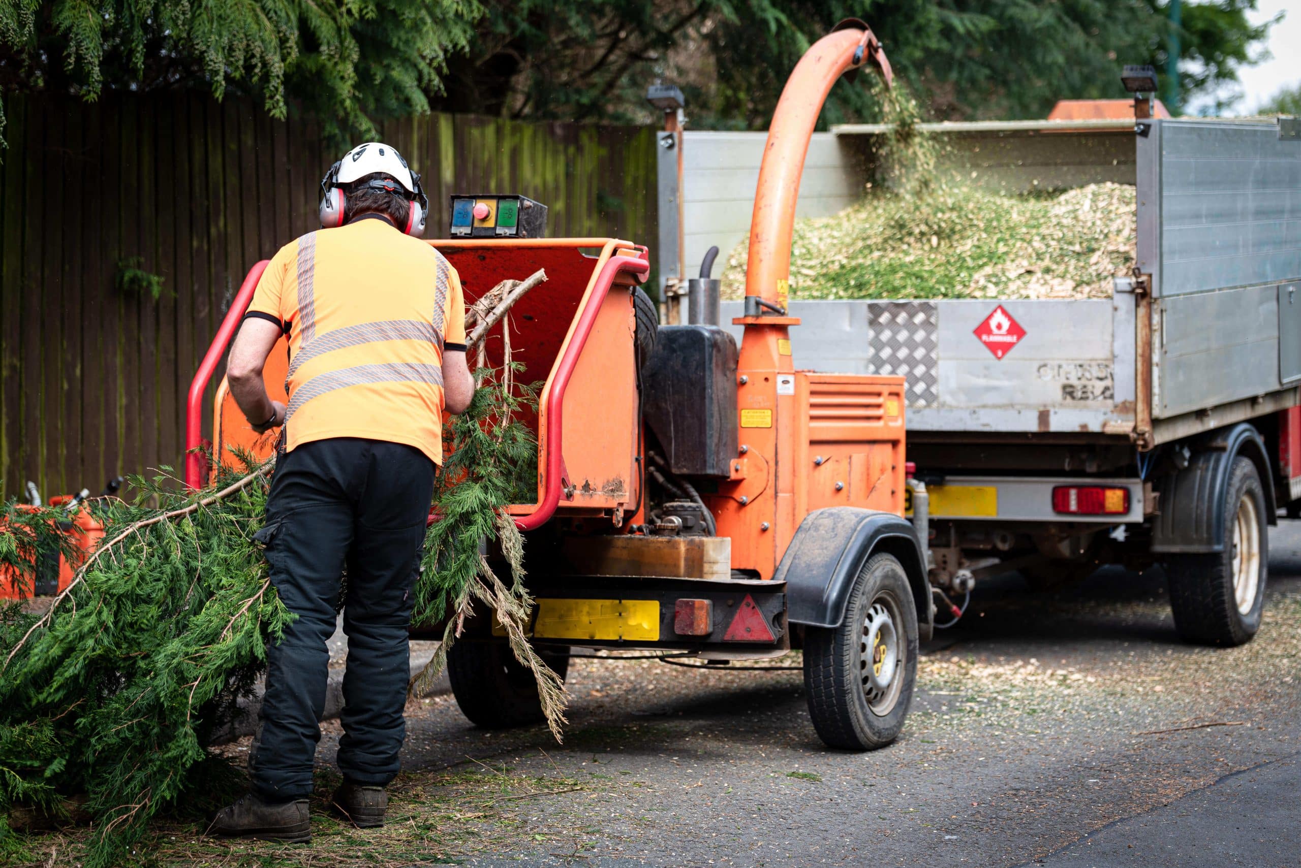 Tree Stump Grinding/Removal Peckham SE15